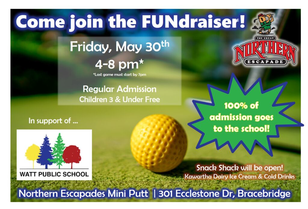 Mini Putt Fundraiser flyer